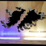 Cuadro Homenaje Malvinas. Prohibido olvidar.- Con Neón LED
